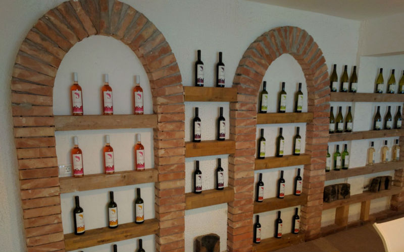 Pensiunea URSA - Colectia De Vinuri