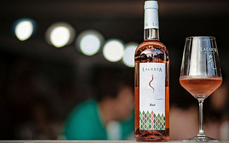 Pensiunea URSA - Colectia De Vinuri